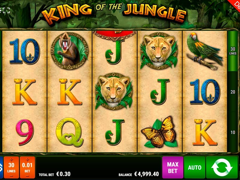 Spielen Sie jetzt das King of the Jungle Spiel online
